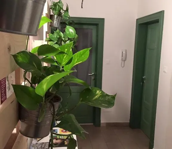 Cost Maison d'hôtes Ferrare