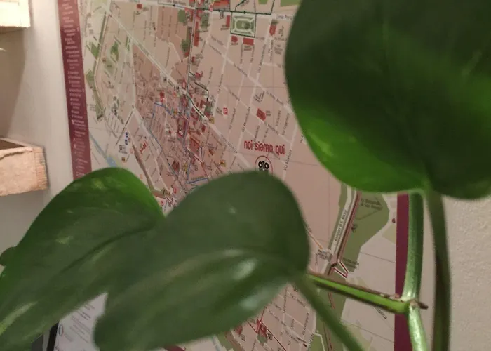 Cost Maison d'hôtes Ferrare